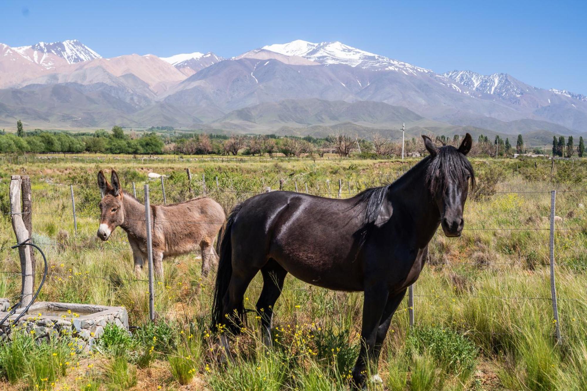 Rancho Adobe Eco Hotel Тупунгато Экстерьер фото